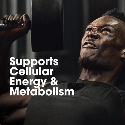 OPTIMUM NUTRITION (ON) MULTIVITAMIN FOR MEN– 60 TABLETS