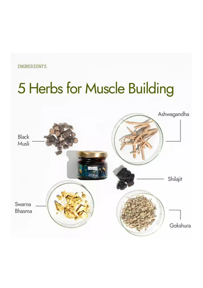 KAPIVA SHILAJIT GOLD RESIN 20 GM