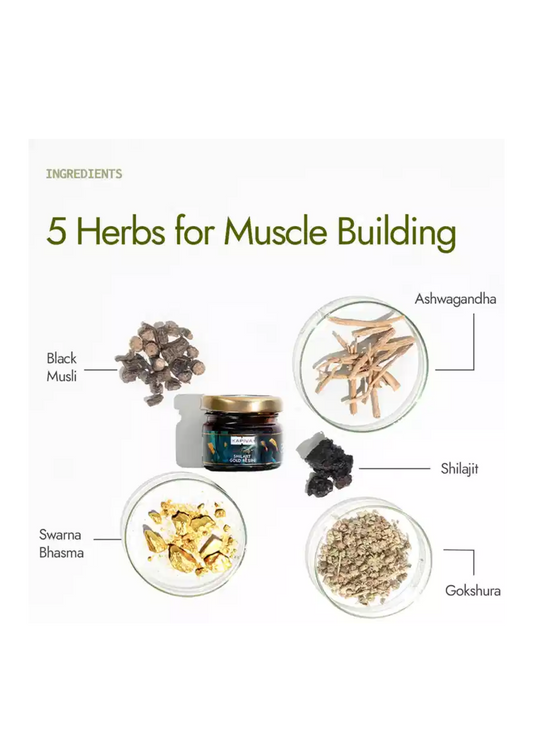 KAPIVA SHILAJIT GOLD RESIN 20 GM