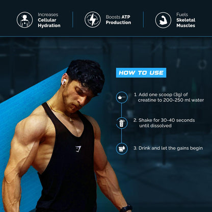 WELLCORE - MICRONISED CREATINE MONOHYDRATE (100g, 33 SERVINGS)