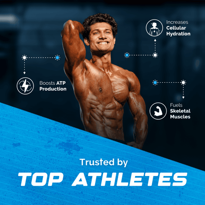 WELLCORE CREATINE